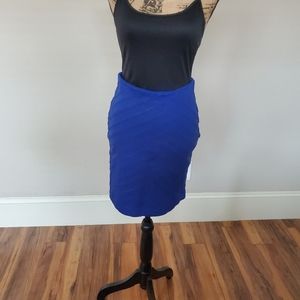 Blue Express skirt